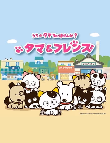 タマ&フレンズ うちのタマ知りませんか?
