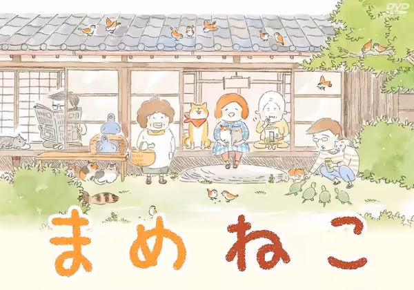 まめねこ