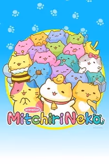 みっちりねこ