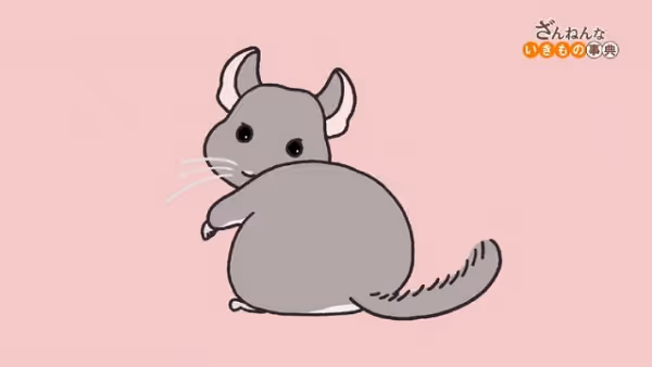 ざんねんないきもの事典(第3シリーズ)